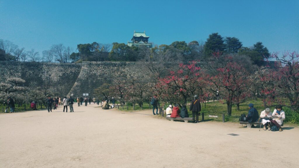 Dvorac u japanu sa trešnjinog cvijetu.